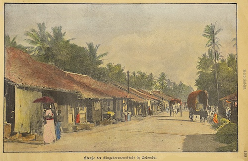 Straße der Eingeborenen-Stadt in Colombo