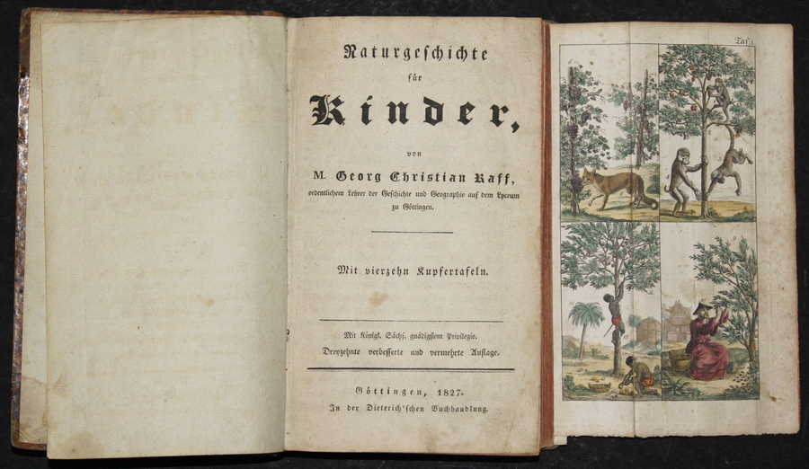 Naturgeschichte für Kinder, von M. Georg Christian Raff,…