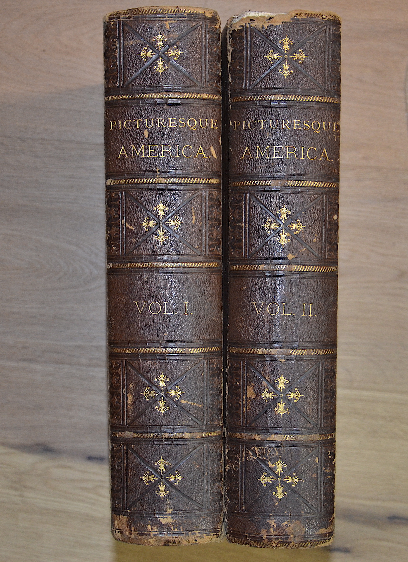 Picturesque America Vol. I / Picturesque America Vol. II