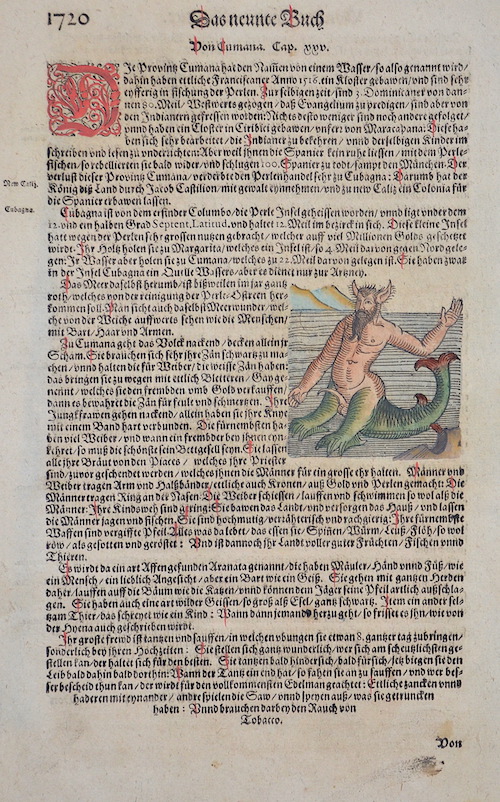 Das neunte Buch  / Von Cumana.