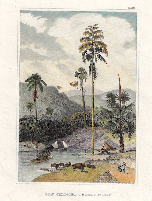 Bey Colombo (Insel Ceylon)