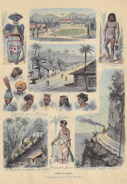 Bilder aus Ceylon.