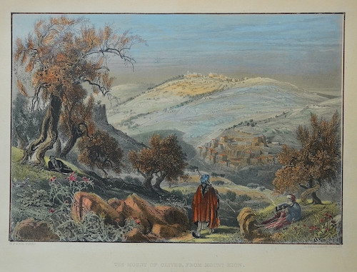 The Mount of Olives, From Mount Zion.