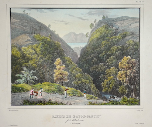 Ravins de Batou-Ganton, pres d’Amboine. (Moluques.)