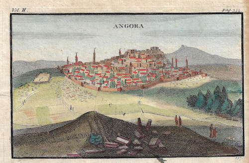 Angora