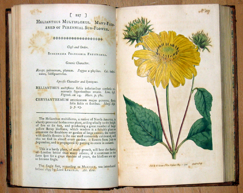 The botanical magazine or Flower – Garden Displayed