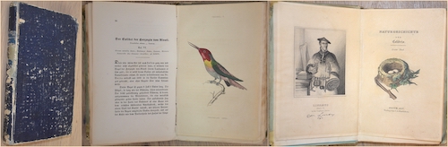 Naturgeschichtliches Cabinet des Thierreiches. Naturgeschichte der Colibris