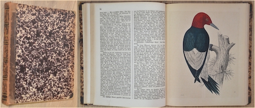 Das Buch der Welt. 1850.