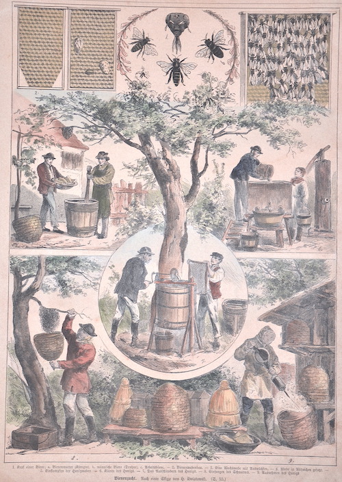 Bienenzucht.