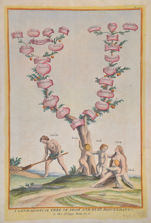 A genealogical tree of Adam and Eve’s descendants, to the deluge Gen. IV.V.