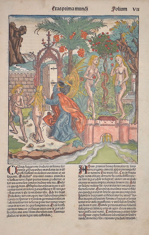 Etas prima mundi Folium VII