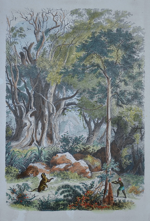 10 (Jagt-Hunting )