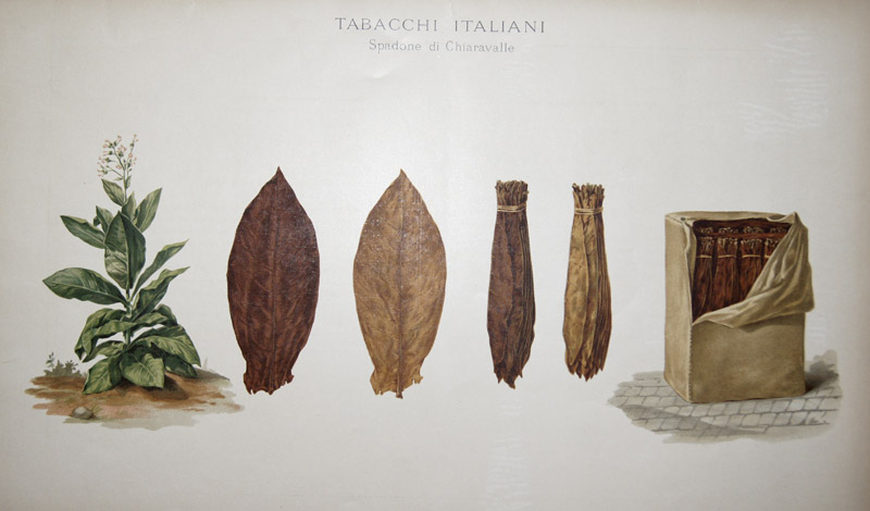 Tabacchi Italiani. Spandone di Chiaravalle