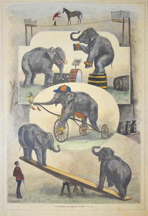 Die Elefanten im Hippodrom zu Paris.