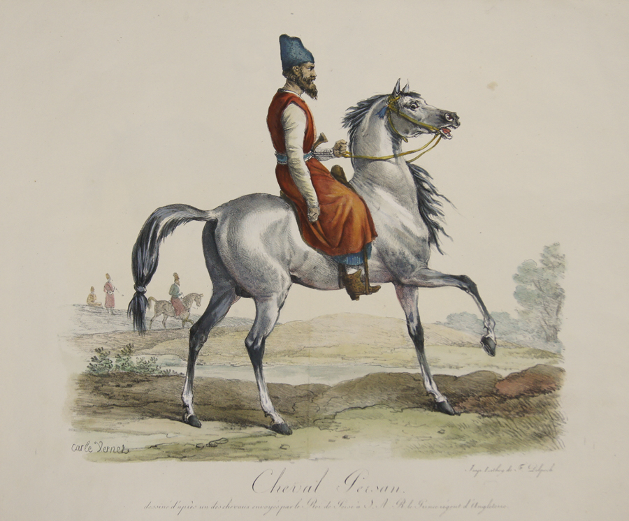 Cheval Persan.