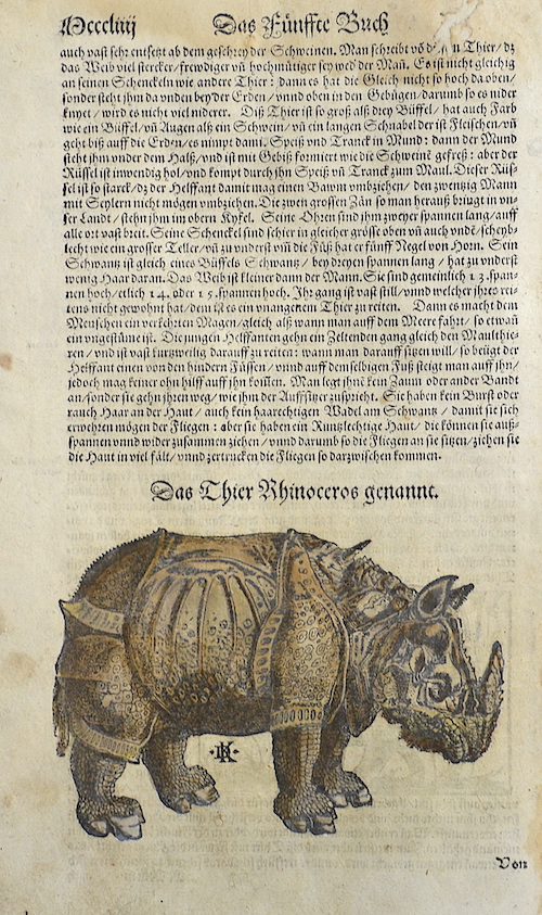 Das Fünffte Buch / Das Thier Rhinoceros genannt.