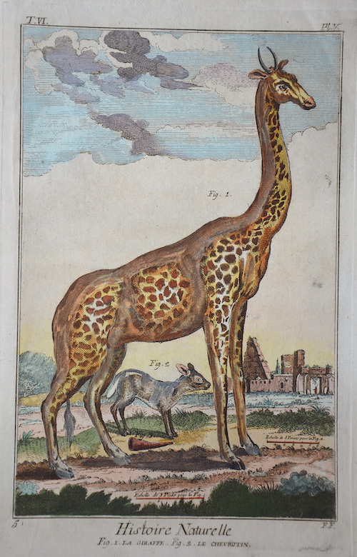 Histoire Naturelle Fig. 1. La Giraffe. Fig. 2. Le Chevrotin.