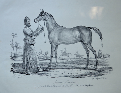 Jument Persane, envoyee par le Roi de Perse a I. kA. R. le Prince Regent d’Angleterre.