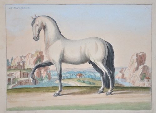 Le Napolitain. IV.