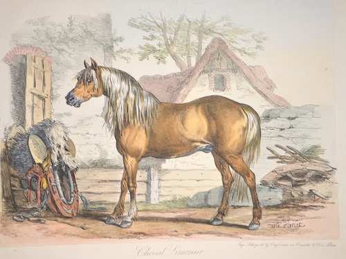Cheval Limonier