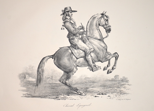 Cheval Espagnol.