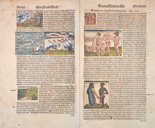 Das Fünffte Buch – Kränich