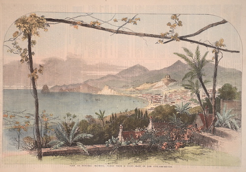 View of Funchal Madeira, taken from a Point east of the city.