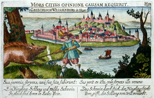 Mors citius opinione causam reqirit /Grischisch Weissenburg in Ungarn