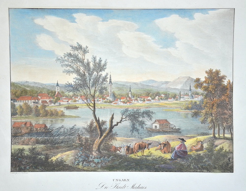 Ungarn Die Stadt Mahacs.