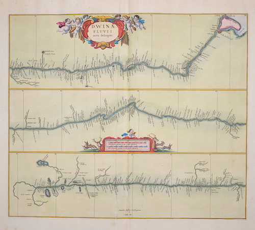 Dwina Fluvii nova descriptio