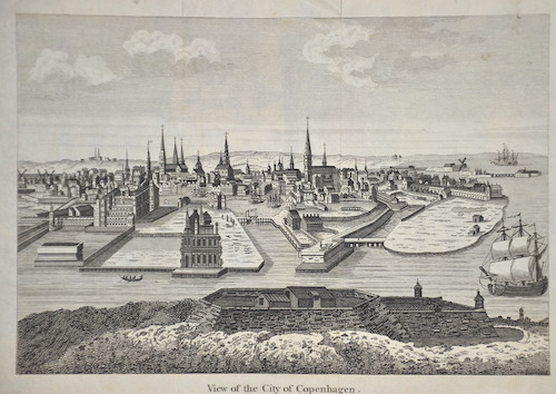 View of the City of Copenhagen.