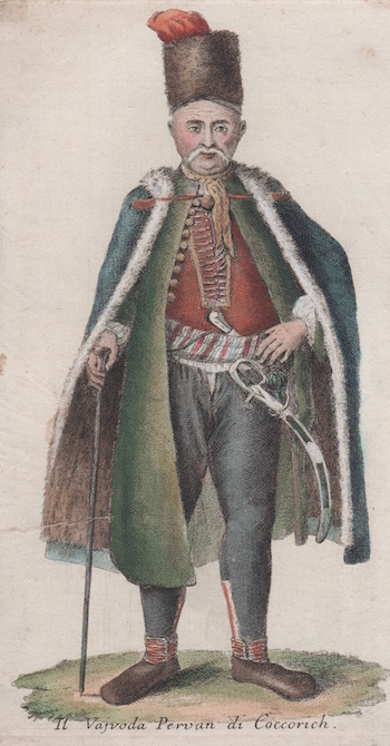 Il Vajvoda Pervan di Coccorich.