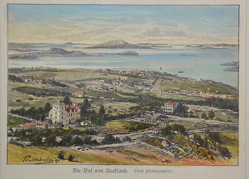 Die Bai von Auckland