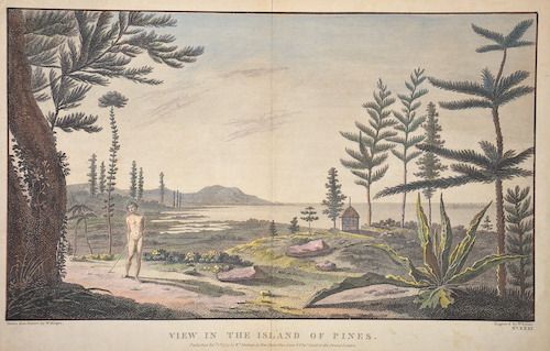 View in the Island of Pines.