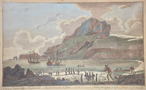 A View of Christmas Harbour, in Kerguelen’s Land, with the  manner of killing Penguins, a representation of a Seal,..